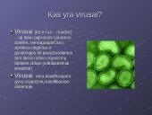 Virusai, virusų tipai, veikimas 2 puslapis
