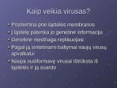 Virusai, virusų tipai, veikimas 14 puslapis