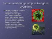 Virusai, virusų tipai, veikimas 16 puslapis