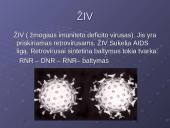 Virusai, virusų tipai, veikimas 18 puslapis