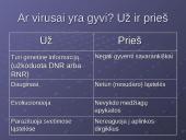 Virusai, virusų tipai, veikimas 3 puslapis