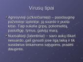Virusai, virusų tipai, veikimas 4 puslapis