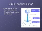 Virusai, virusų tipai, veikimas 6 puslapis