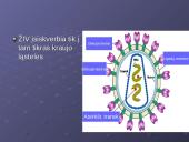 Virusai, virusų tipai, veikimas 9 puslapis