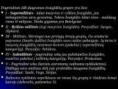 Visatos plėtimasis 11 puslapis