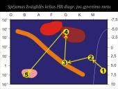 Visatos plėtimasis 12 puslapis