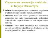 Visuomenės tarnautojų profesinė etika 14 puslapis