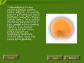 Vitaminų chemija, biologija, medicina bei dietologija 20 puslapis