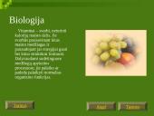 Vitaminų chemija, biologija, medicina bei dietologija 6 puslapis