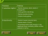 Vitaminų chemija, biologija, medicina bei dietologija 9 puslapis