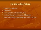 Vytautas Mačernis. Kūrybos bruožai, gyvenimas 10 puslapis