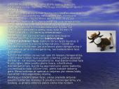 Žaliavinio pieno mikroorganizmai. Mikroorganizmų kitimas laikomame piene. Pieno apsauga nuo mikrobinio gedimo 14 puslapis