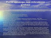 Žaliavinio pieno mikroorganizmai. Mikroorganizmų kitimas laikomame piene. Pieno apsauga nuo mikrobinio gedimo 17 puslapis