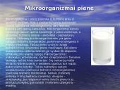 Žaliavinio pieno mikroorganizmai. Mikroorganizmų kitimas laikomame piene. Pieno apsauga nuo mikrobinio gedimo 3 puslapis