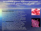Žaliavinio pieno mikroorganizmai. Mikroorganizmų kitimas laikomame piene. Pieno apsauga nuo mikrobinio gedimo 4 puslapis