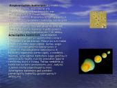 Žaliavinio pieno mikroorganizmai. Mikroorganizmų kitimas laikomame piene. Pieno apsauga nuo mikrobinio gedimo 5 puslapis