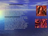 Žaliavinio pieno mikroorganizmai. Mikroorganizmų kitimas laikomame piene. Pieno apsauga nuo mikrobinio gedimo 6 puslapis