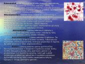 Žaliavinio pieno mikroorganizmai. Mikroorganizmų kitimas laikomame piene. Pieno apsauga nuo mikrobinio gedimo 9 puslapis