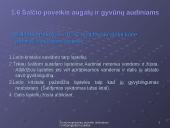 Žemų temperatūrų poveikis audiniams bei mikroorganizmų veiklai 11 puslapis