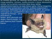 Skirtingi žinduoliai 12 puslapis