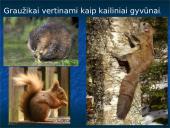 Skirtingi žinduoliai 16 puslapis