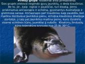 Skirtingi žinduoliai 6 puslapis