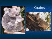 Skirtingi žinduoliai 8 puslapis