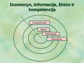 Žinių vadybos svarbiausi uždaviniai 11 puslapis