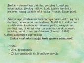 Žinių vadybos svarbiausi uždaviniai 17 puslapis