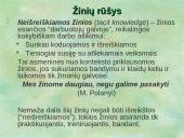 Žinių vadybos svarbiausi uždaviniai 20 puslapis