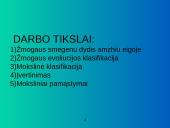 Žmogaus smegenų evoliucija 3 puslapis