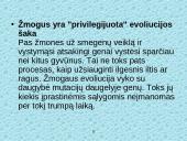 Žmogaus smegenų evoliucija 5 puslapis