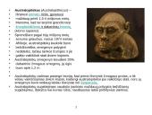 Žmogaus smegenų evoliucija 7 puslapis