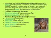 Žmogaus smegenų evoliucija 8 puslapis