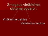 Žmogaus virškinimo sistema ir jos sandara 2 puslapis
