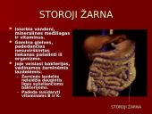 Žmogaus virškinimo sistema ir jos sandara 12 puslapis