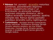 Žmogaus virškinimo sistema ir jos sandara 16 puslapis