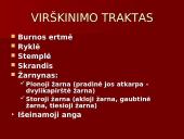 Žmogaus virškinimo sistema ir jos sandara 3 puslapis