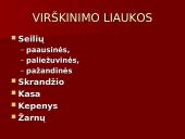 Žmogaus virškinimo sistema ir jos sandara 4 puslapis