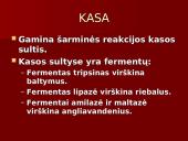 Žmogaus virškinimo sistema ir jos sandara 8 puslapis