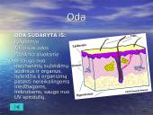 Žmogaus organai 13 puslapis