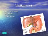 Žmogaus organai 14 puslapis