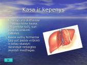 Žmogaus organai 15 puslapis