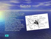 Žmogaus organai 20 puslapis