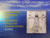 Žmogaus organai 3 puslapis