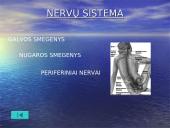 Žmogaus organai 4 puslapis