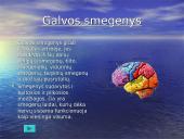 Žmogaus organai 5 puslapis