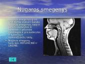 Žmogaus organai 6 puslapis