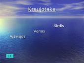 Žmogaus organai 9 puslapis