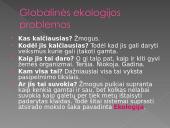 Žmogus ir šiuolaikinės problemos 13 puslapis